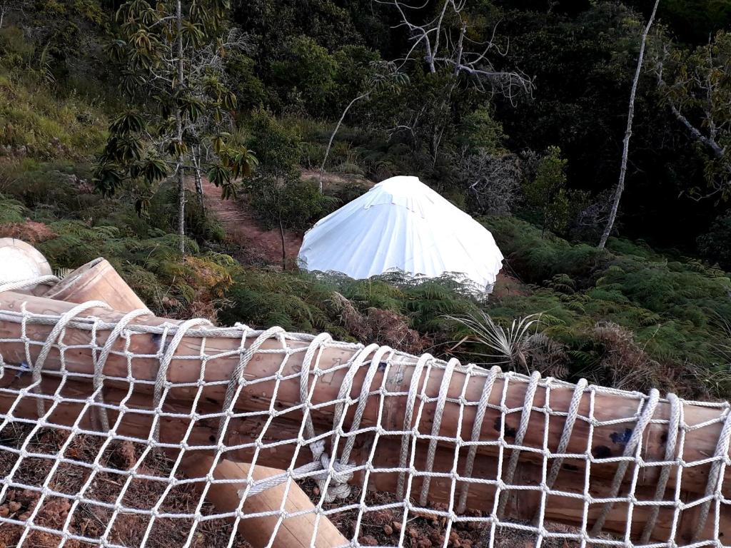 Živali poleg hostel oz. v okolici