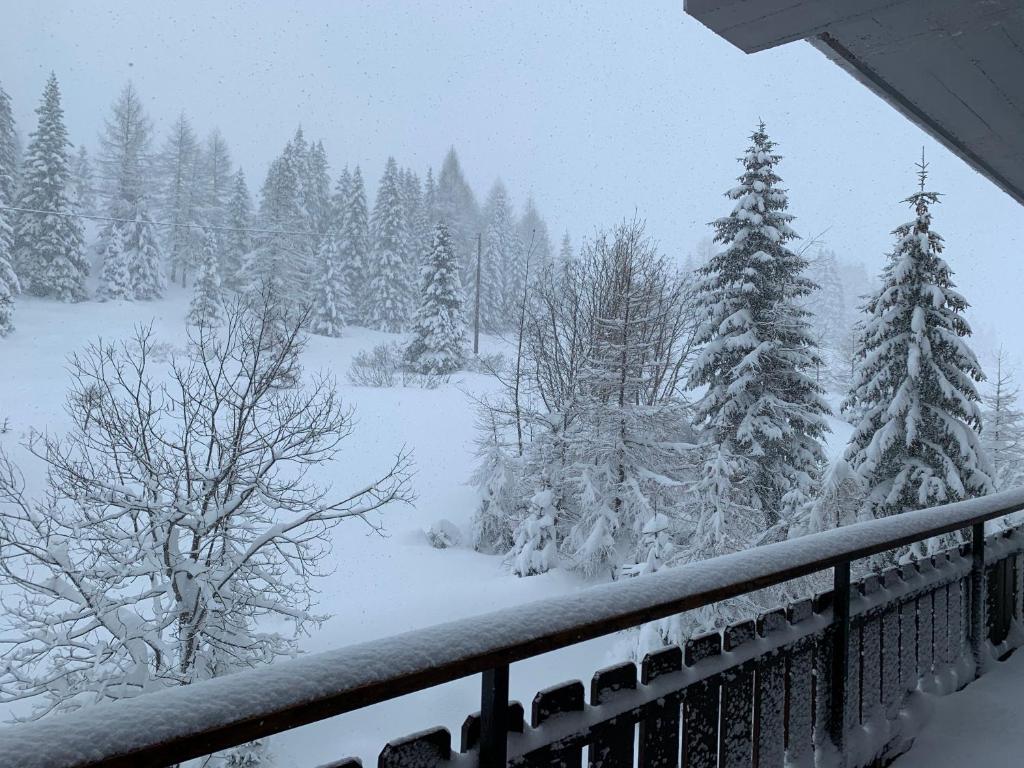 Appartamento San Pellegrino Passo San Pellegrino Prezzi Aggiornati Per Il 2021