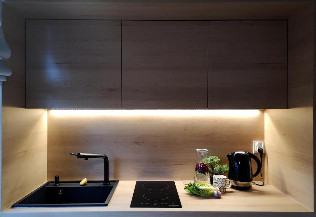 Kuchyňa alebo kuchynka v ubytovaní Apartament Liliowa Przełęcz