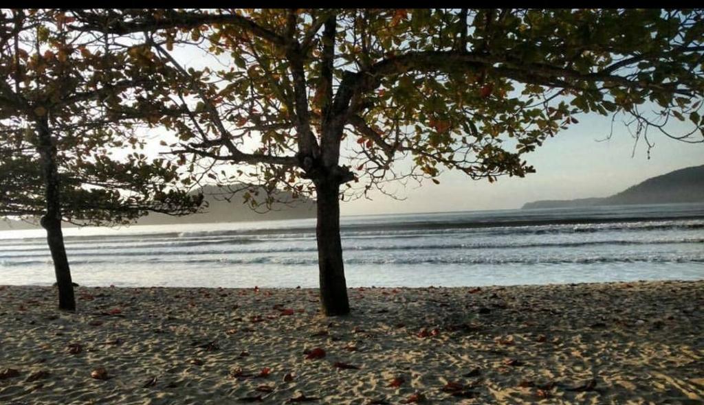  Apartamento duplex novo no Perequê Açu - de frente ao mar