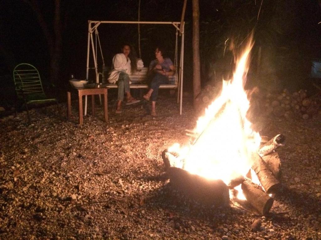  Sitio Frutas do Cerrado