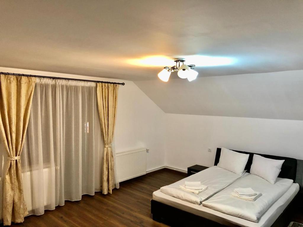 Postel nebo postele na pokoji v ubytování Casa Truța