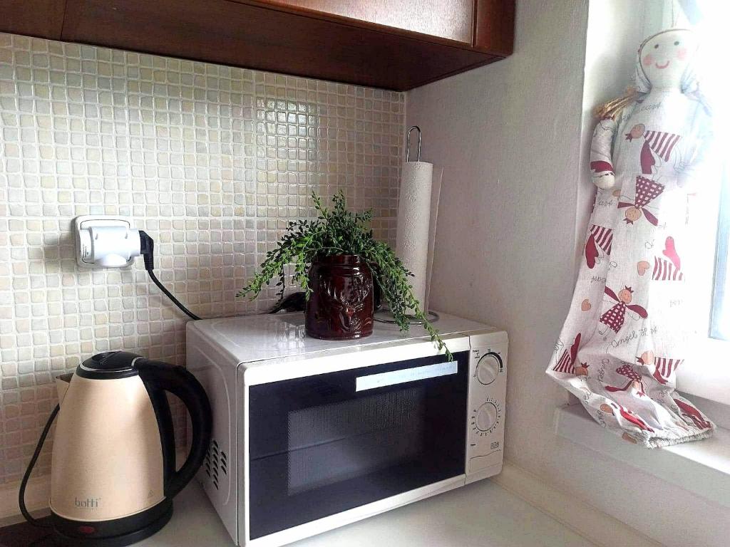 Kuchyň nebo kuchyňský kout v ubytování Apartman Glacier