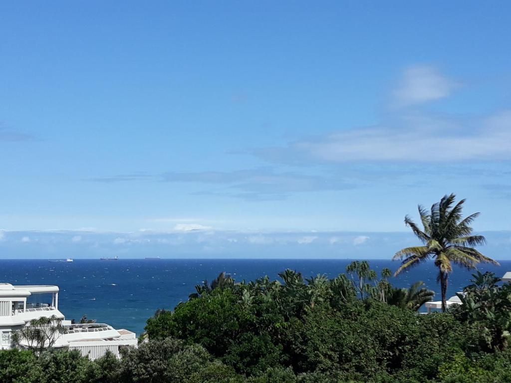 a palm tree in front of the ocean at Sea Lodge Umhlanga Rocks in Durban
