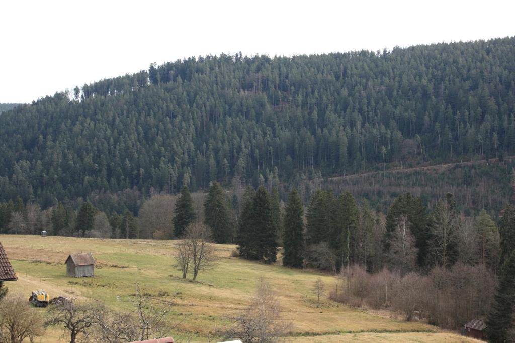 Příroda nedaleko hotelu