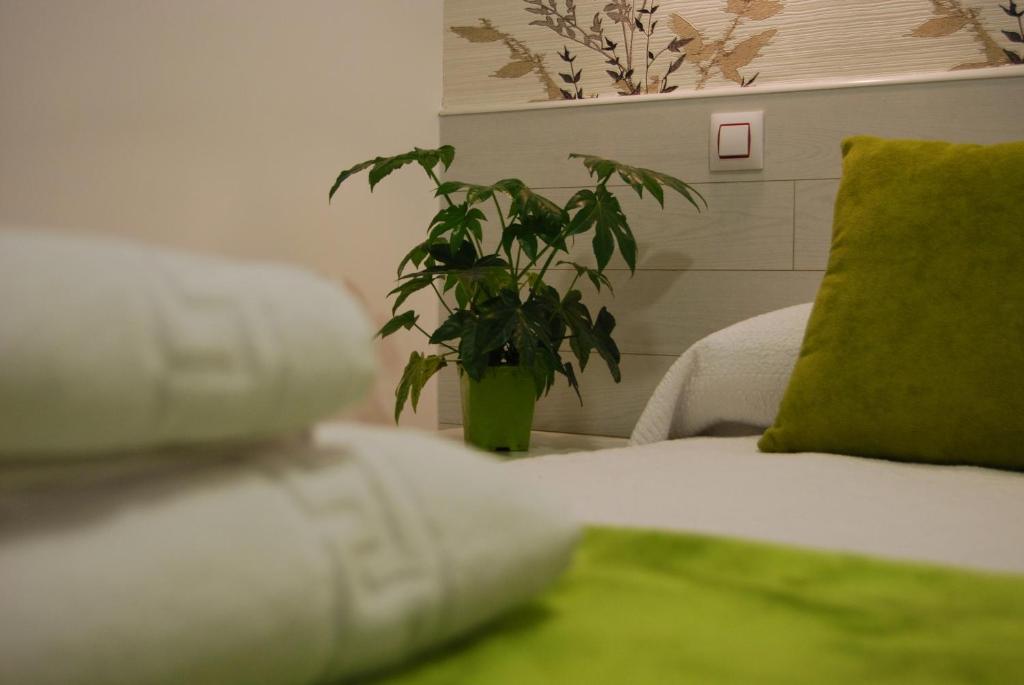 Hostal PETITE MAMAN, Madrid – Prețuri actualizate 2023