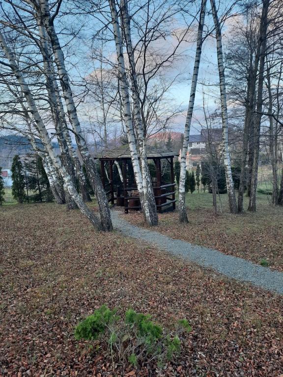 un rifugio di legno in mezzo a un campo alberato di Planinska kuca Dasovic a Fužine