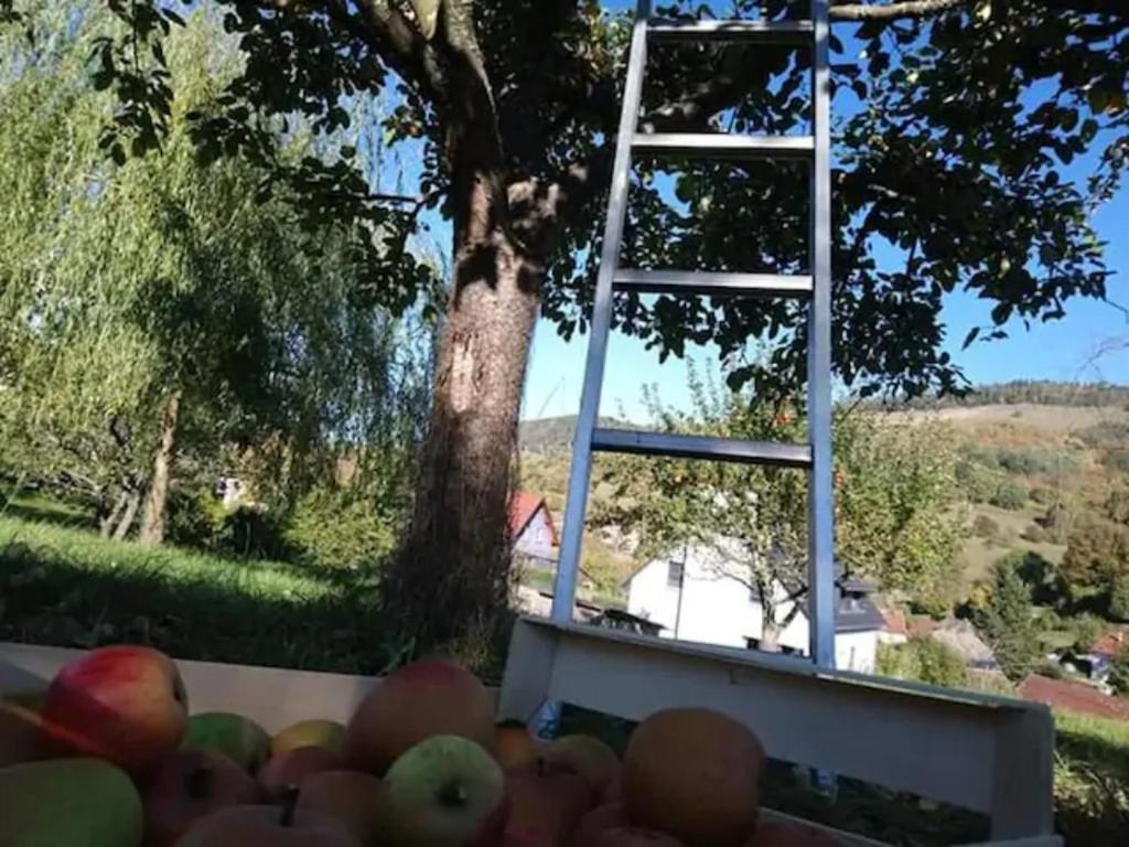 Les Locations de Stéphanie ,gîte L'Arbre Vert - Appartement Avec Vue Sur La Montagne