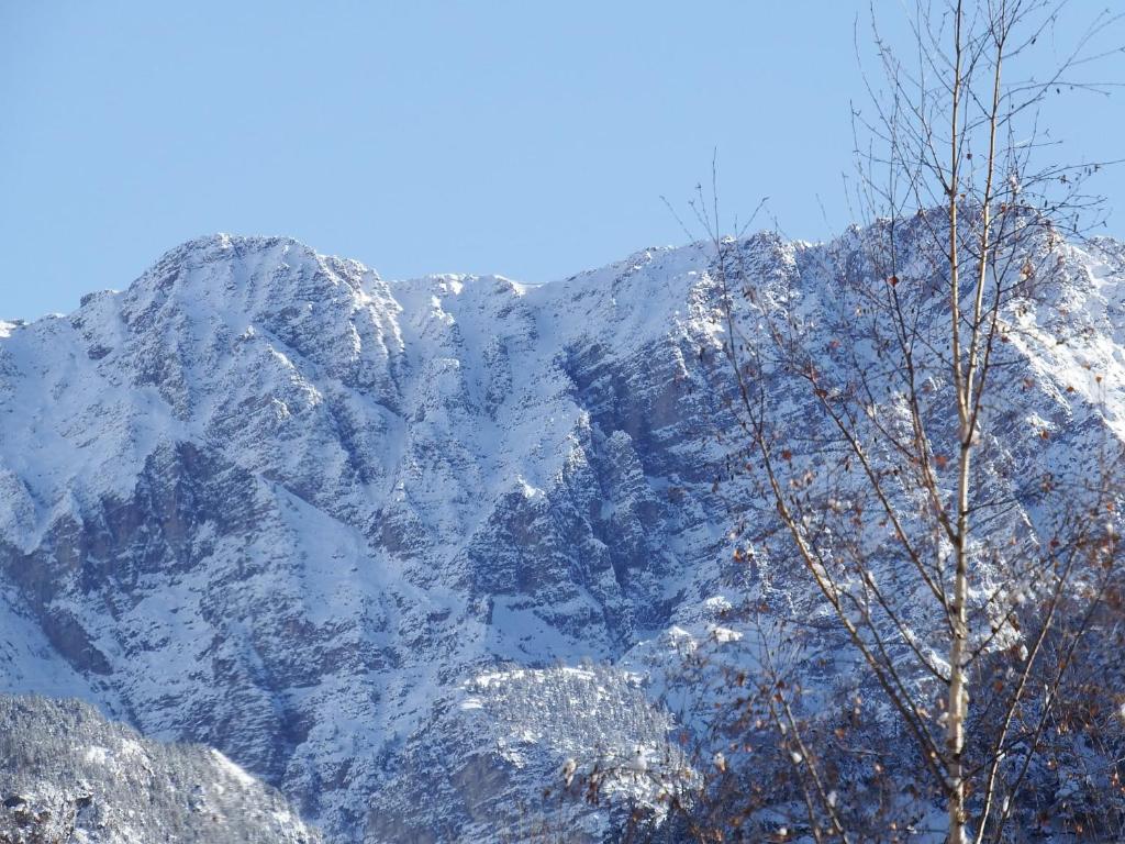 a snow covered mountain with a tree in front of it at Le Bacchu Ber in Briançon