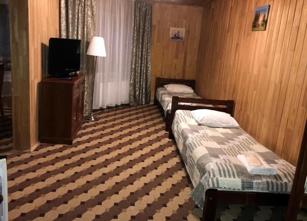 TV a/nebo společenská místnost v ubytování Olga Hotel SPA