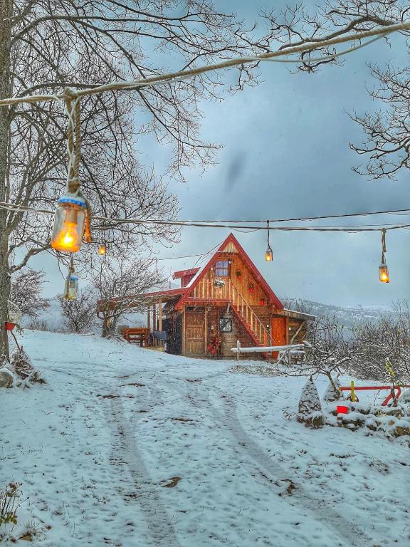 Log cabin Uvac (Vikendica Saponjic) v zimě