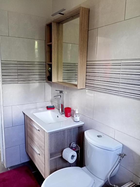 Koupelna v ubytování T2 Échappée belle Sainte-Marie Kybo Karaib Location pkg Mtgne Cosy