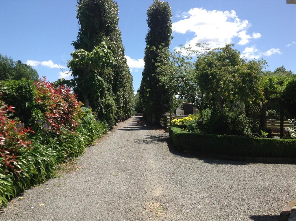 a path through a garden with trees and bushes at Aratahi Cottages in Carterton