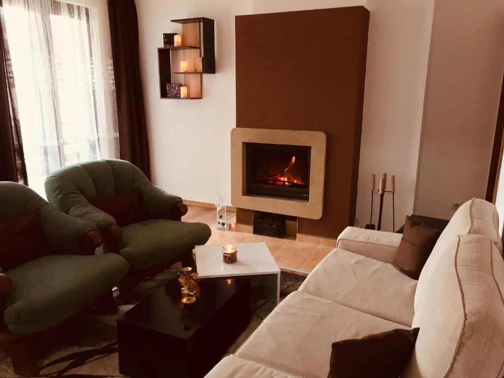 a living room with a couch and a fireplace at Marina Apartment in Bansko