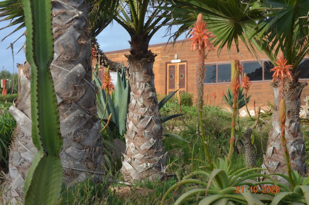 Zahrada ubytování Dakhla Kitesurf World
