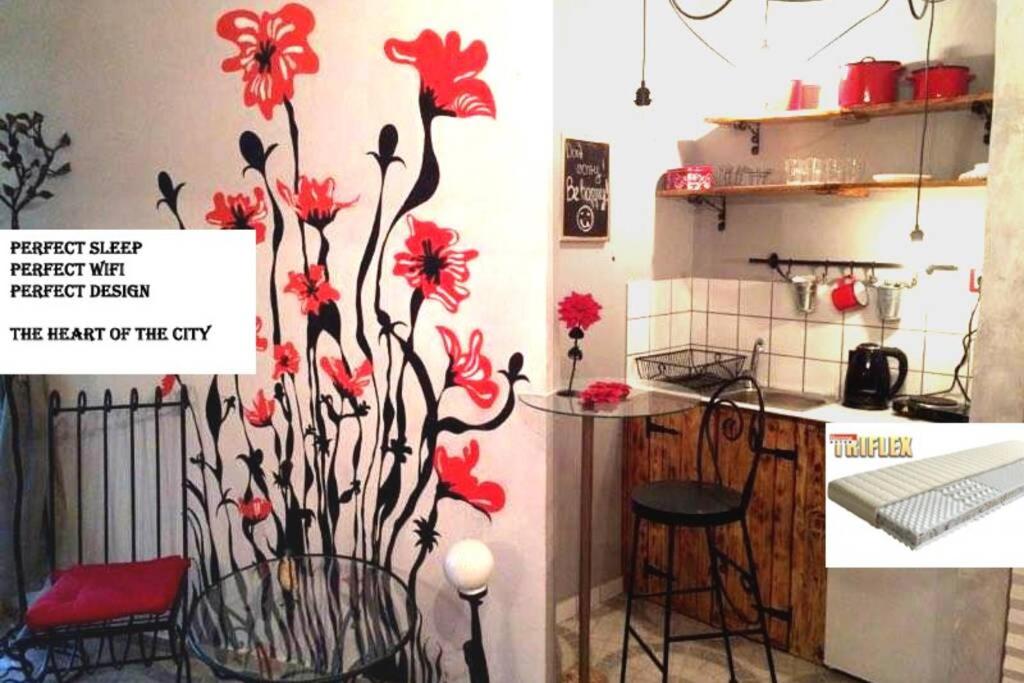 a kitchen with red flowers painted on the wall at Romantic Studio Apartment in the heart of the city in Komárom