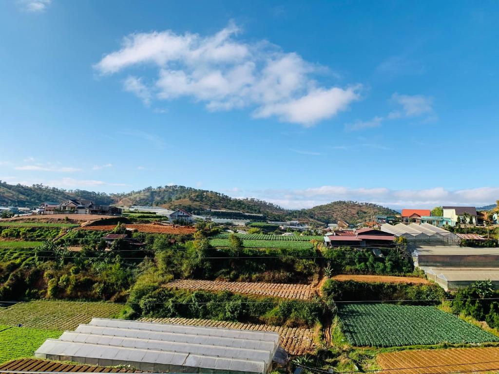 November Villa Đà Lạt - 14