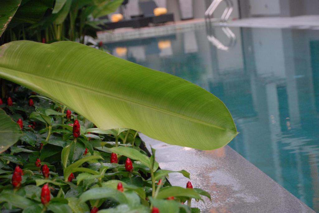 iSanook Bangkok - Resim 14