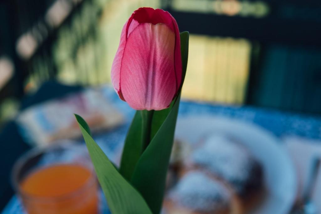Fotografie z fotogalerie ubytování BluViRo v destinaci Bronte