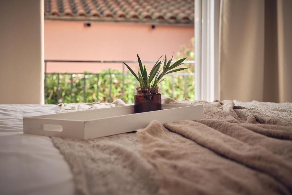 Shellona Rooms & Apartments - 10