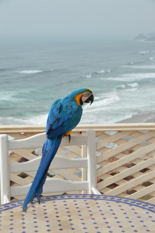 Un paisaje natural cerca of the bed and breakfast