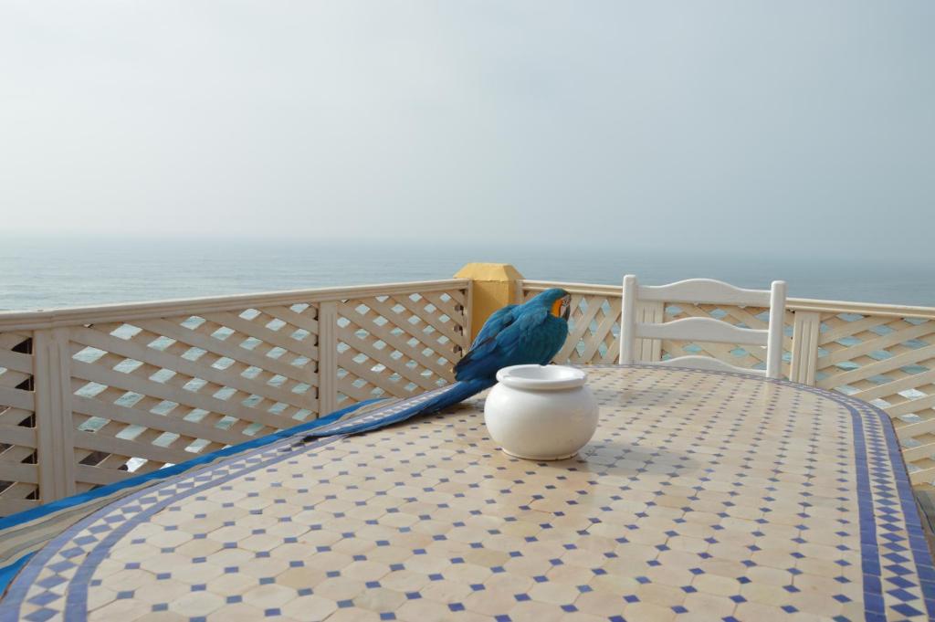 Un balcón o terraza en Sallys