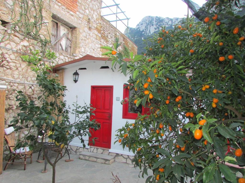 a red door and orange trees in front of a building at B&B Palazzo a Mare in Capri