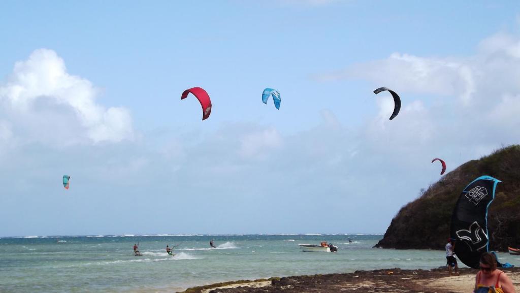 eine Gruppe von Menschen, die Drachen am Strand fliegen in der Unterkunft Appartement d'une chambre avec vue sur la ville et wifi a Le Vauclin a 1 km de la plage in Le Vauclin