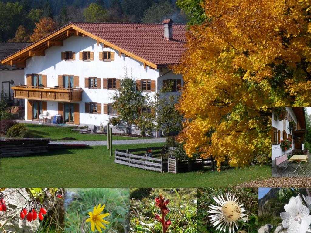 due foto di una casa con fiori e alberi di Ferienwohnungen Hennenmühle a Bad Hindelang