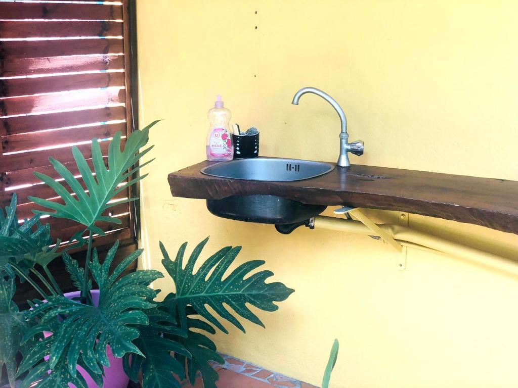 un fregadero junto a una pared con plantas en Studio avec jardin clos et wifi a Basse Terre, en Basse-Terre