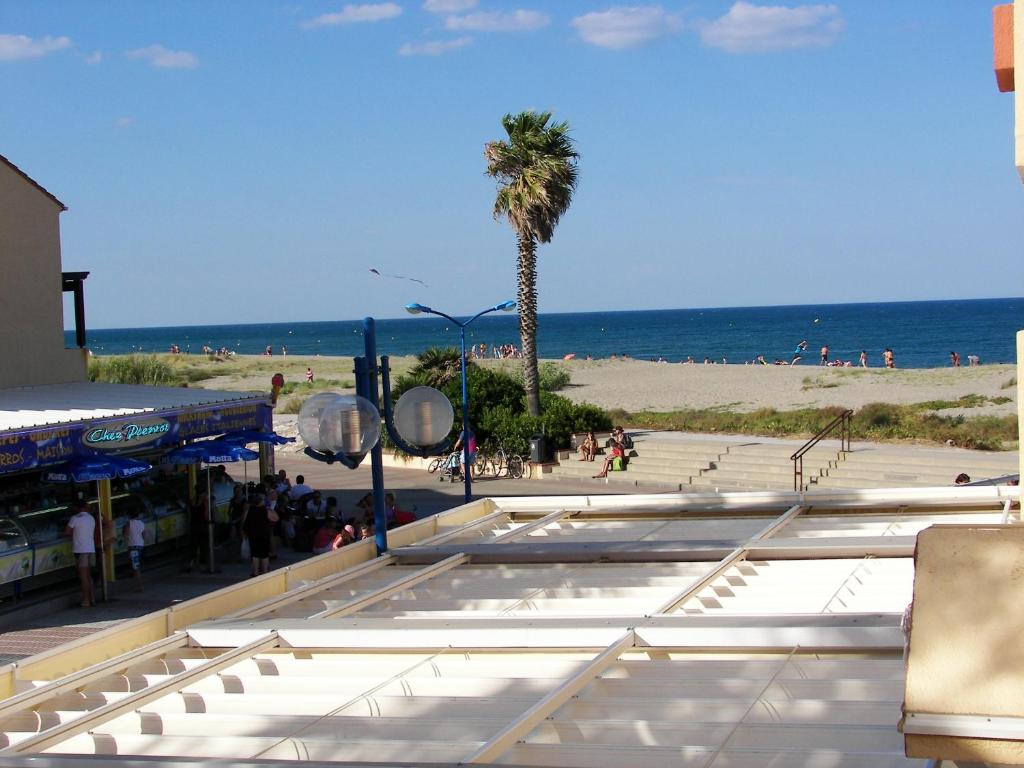 a beach with a palm tree and the ocean at Appartement de 2 chambres a Sainte Marie la Mer a 30 m de la plage avec terrasse amenagee in Sainte-Marie-la-Mer