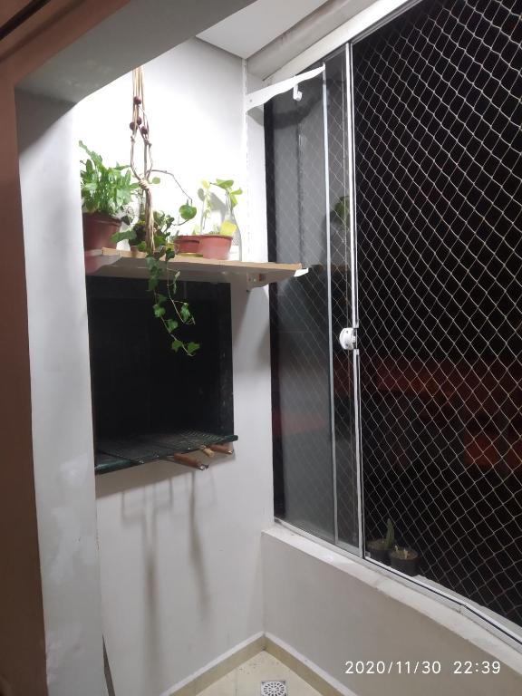  Recanto das gralhas azuis