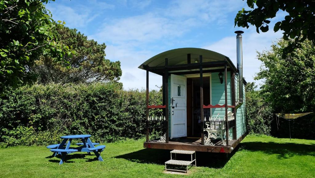 mały domek ze stołem piknikowym w trawie w obiekcie Cosy Shepherds Hut nr Kynance cove w mieście Lizard
