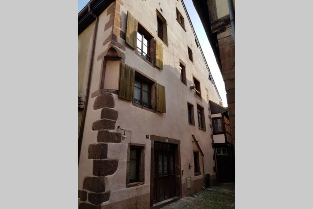 à l'orée du bois – photo 6