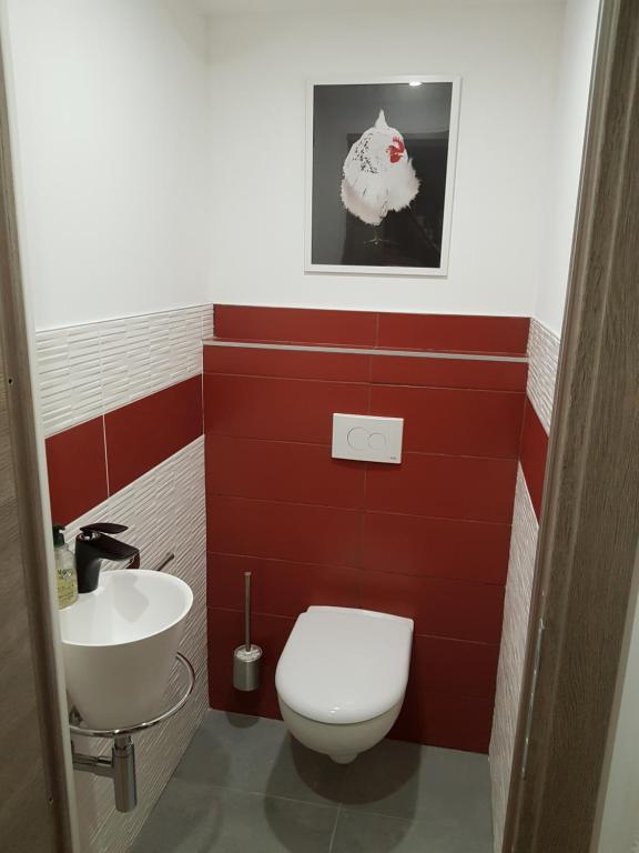à l'orée du bois – photo 14