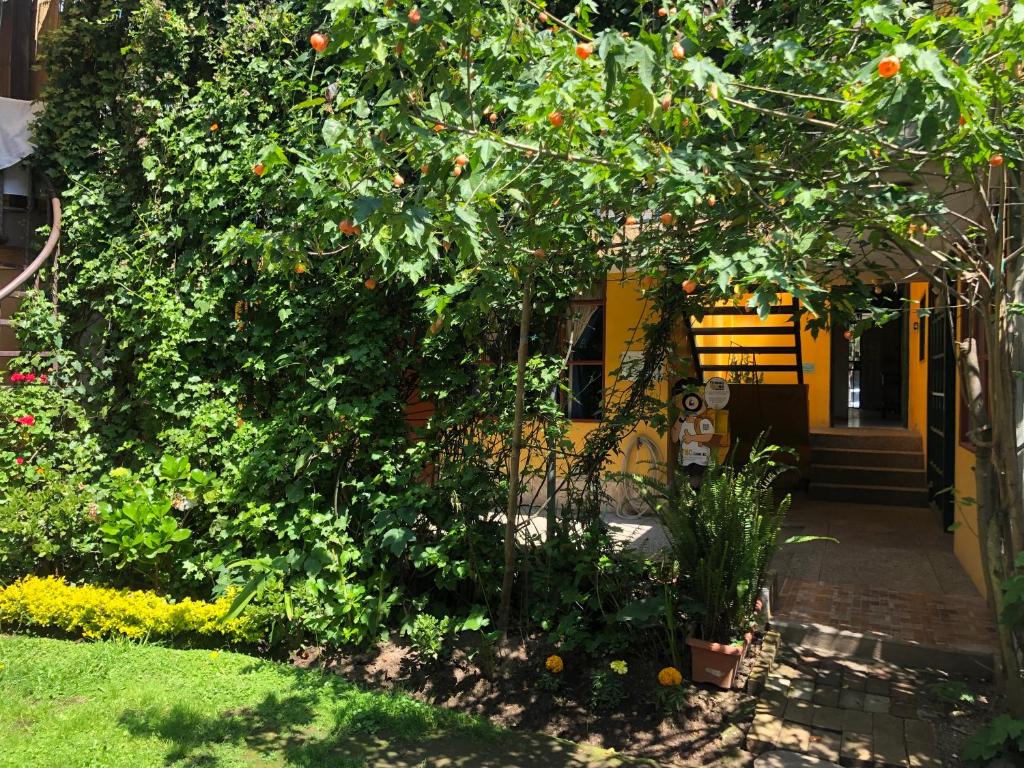 Zahrada ubytování Hostal Alcala