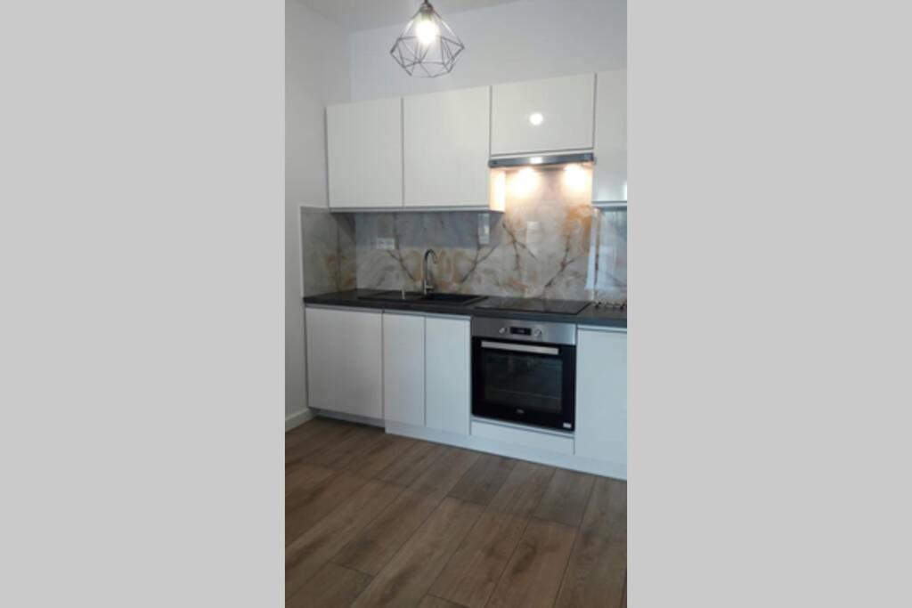 Kuchyňa alebo kuchynka v ubytovaní Lux Apartment close to Medicover and Paley