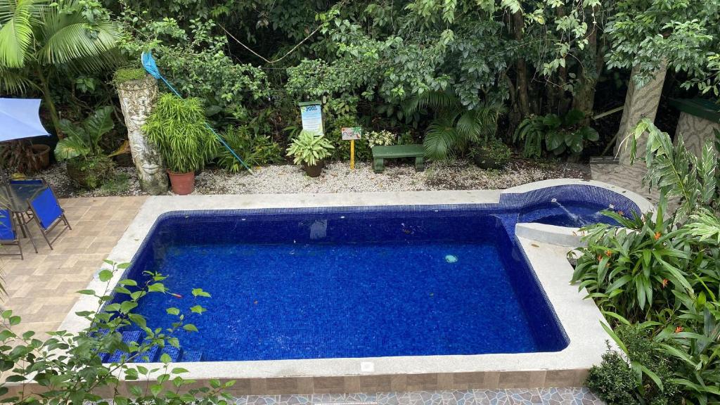 Bazén v ubytování La Posada Jungle Hotel nebo v jeho okolí