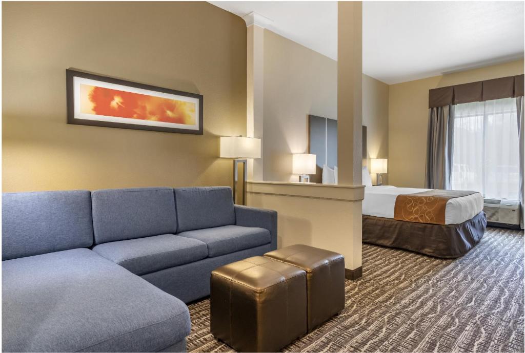 Comfort Suites Near Sam Houston Race Park photo