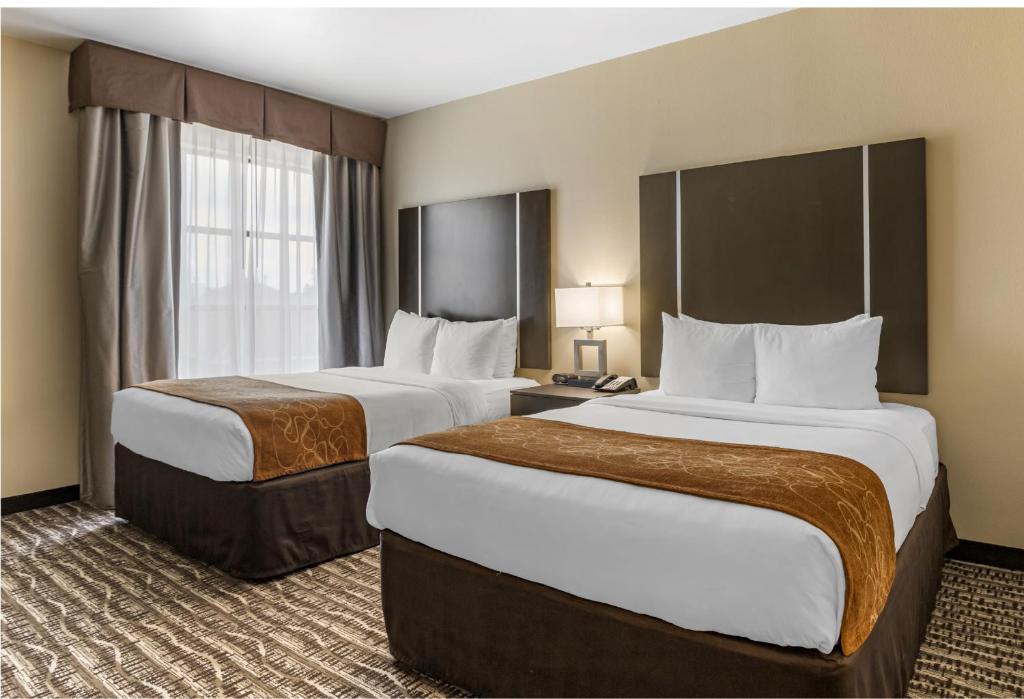 Comfort Suites Near Sam Houston Race Park photo