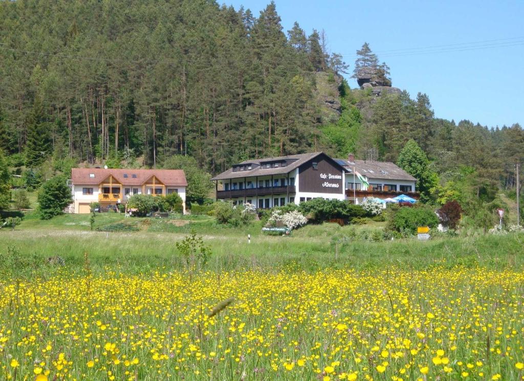 ein Haus inmitten eines Blumenfeldes in der Unterkunft Café Pension Krems in Waischenfeld