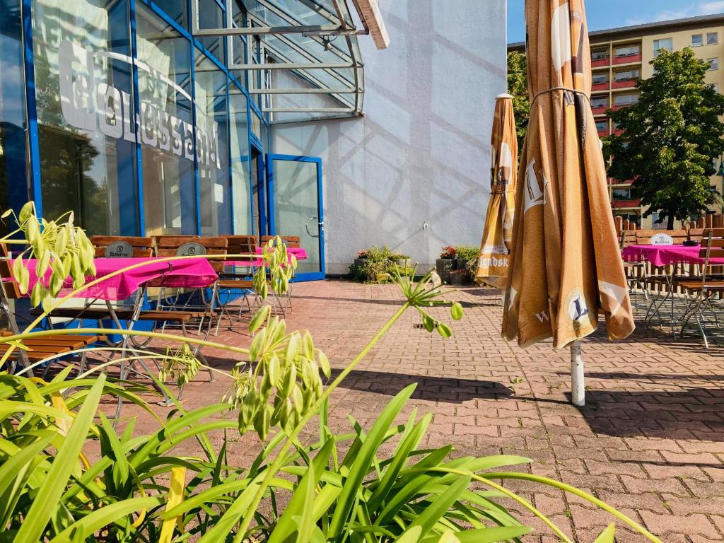 Zahrada ubytování Akzent Congresshotel Hoyerswerda