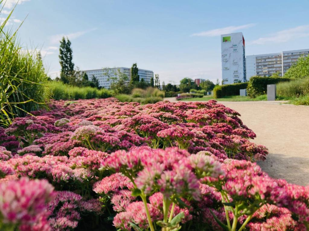 Zahrada ubytování Akzent Congresshotel Hoyerswerda