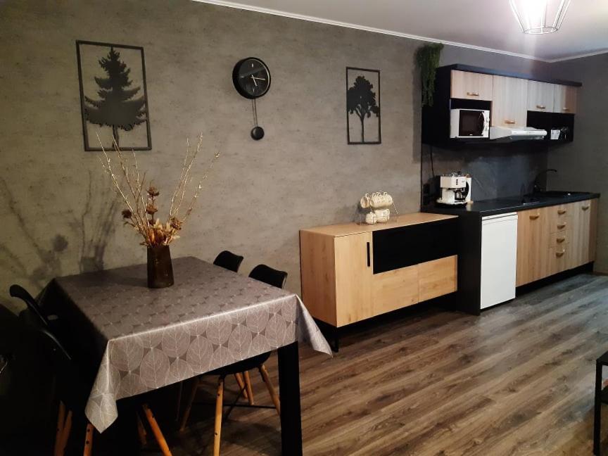 Kuchyň nebo kuchyňský kout v ubytování Family Apartments