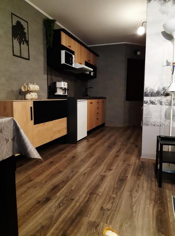 Kuchyň nebo kuchyňský kout v ubytování Family Apartments