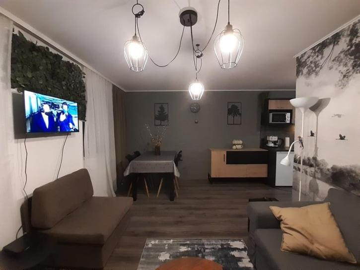 Posezení v ubytování Family Apartments