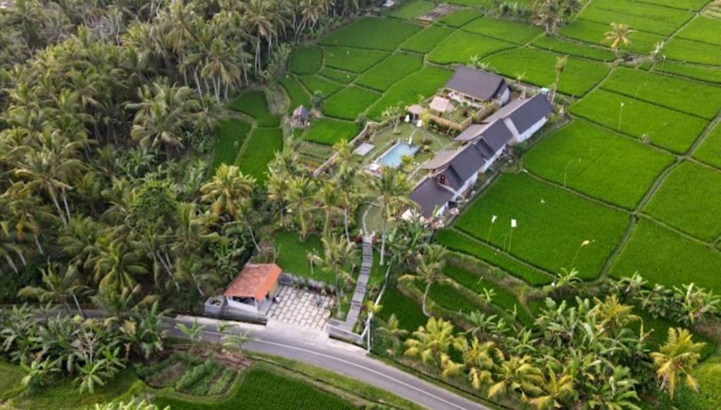 an aerial view of a house with palm trees and a road at Green Coconut Cottage in Ubud