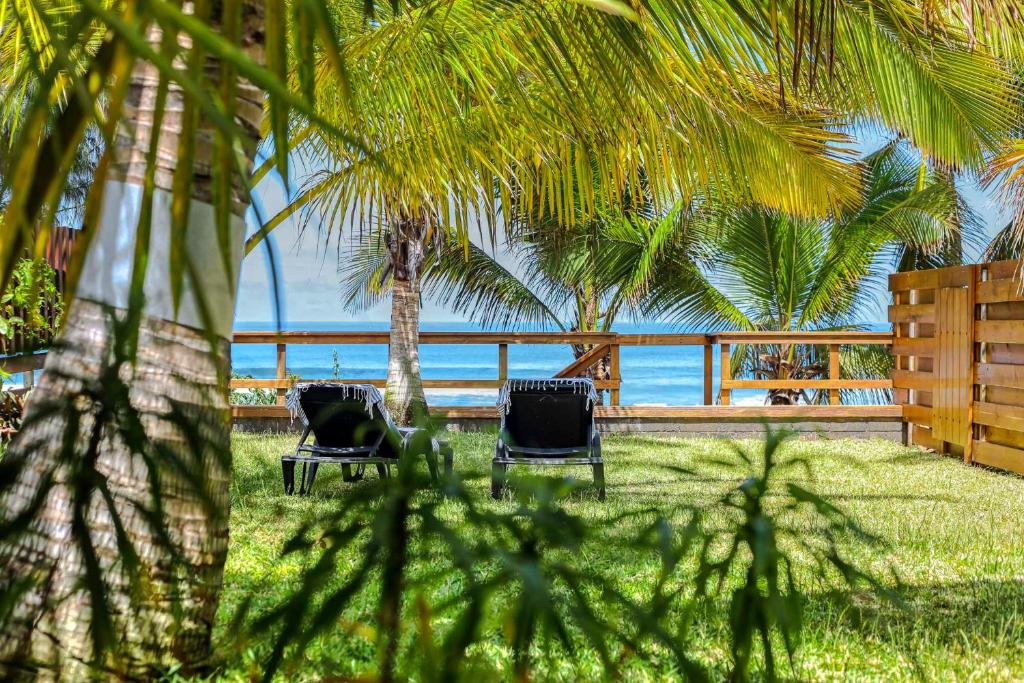 two chairs sitting under palm trees near the ocean at Ô Lagon ! Pieds dans l'eau au lagon de l'Ermitage in Filaos