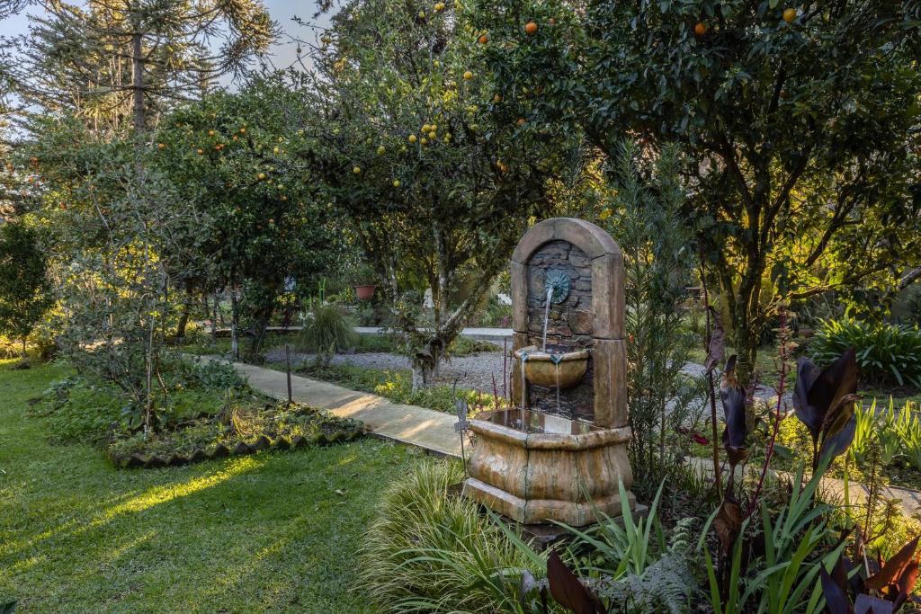 Pousada Jardim Secreto  Pousada Jardim Secreto