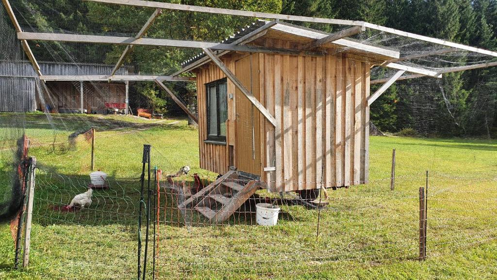 Zahrada ubytování Ferienhaus Buxbaum